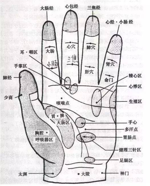 白髮變黑髮的小技巧   