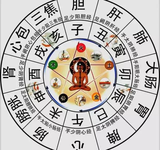 五臟六腑24小時養生排表，什麼是子午流注？