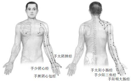 中醫養生：沿著經絡去找大藥是最省事的