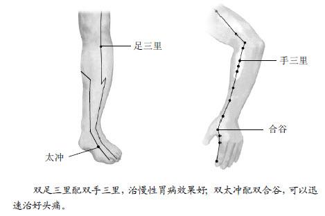 中醫養生：沿著經絡去找大藥是最省事的