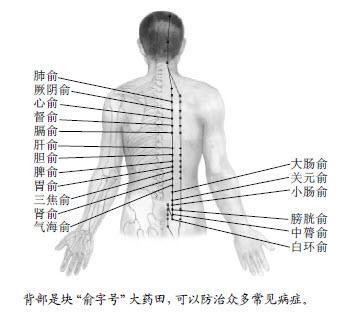 中醫養生：沿著經絡去找大藥是最省事的