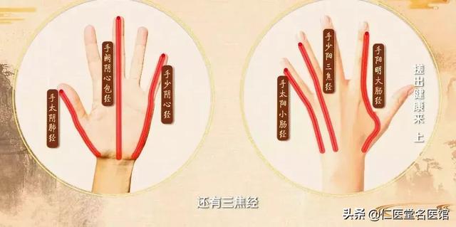 專家演示：這樣搓手效果更好；養氣血、通經絡、調五臟！