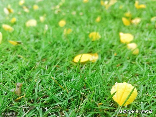 欲為大樹，莫與草爭！(精闢）