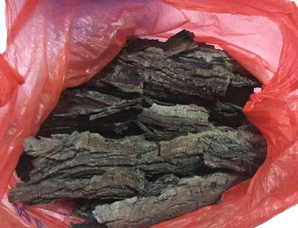 這種天然「生根劑」，不用買路邊一大堆，剪碎了用鍋蒸，養花好用