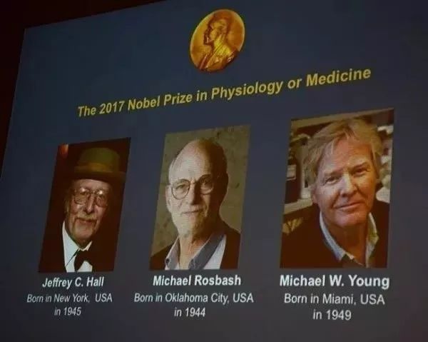 不要再熬夜了，這是全球公認最健康的作息時間表