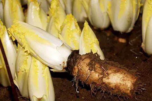 20歲小伙便血入院，查出直腸癌，醫生：這種「息肉」小心癌變