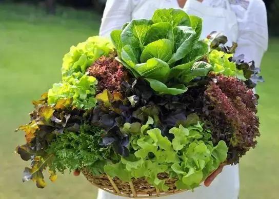 20歲小伙便血入院，查出直腸癌，醫生：這種「息肉」小心癌變