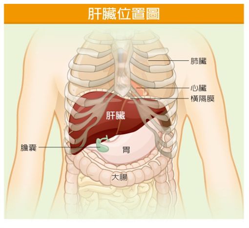 小心肝、快篩！ 台灣竟有五大C肝村