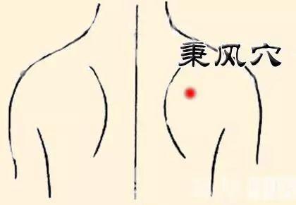 羅大倫：7大特效穴位巧治頸椎病？自我按摩很管用！