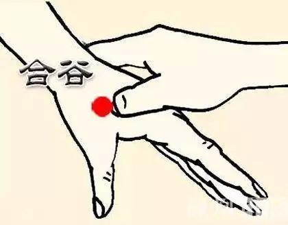 羅大倫：7大特效穴位巧治頸椎病？自我按摩很管用！