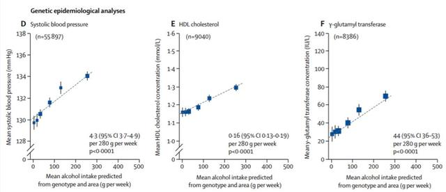 適當飲酒有利身體健康？ 50萬中國人10年追蹤數據公布，顛覆認知！
