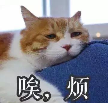 耳朵上的健康開關，每天5分鐘，揉一揉，祛疾病！