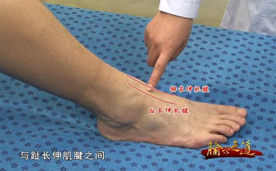 長期大腦供血不足危害​​大，常刺激腳上這一穴位可有效改善