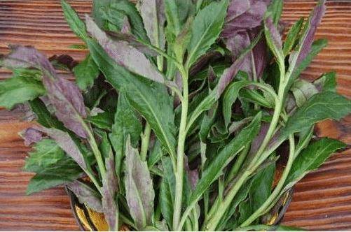 老中醫提醒：被列入「致癌黑名單」的3種蔬菜，含有大量甲醛，早知早受益