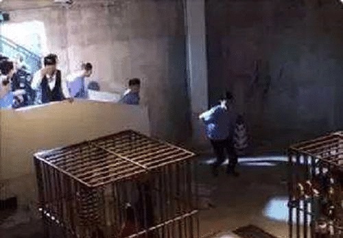 女兒走失兩年路上認出媽媽, 媽媽卻拒絕相認, 網友: 做得對