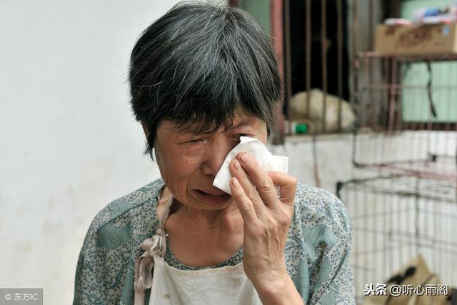 「你想抱孫子可以，大街上能生的有的是！我又不是生育工具！」