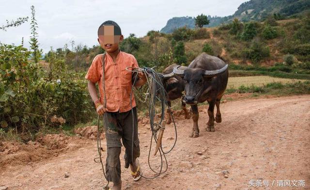 農村母親城裡打工，每月給兒子寄錢，孩子高考後才知媽媽早已去世