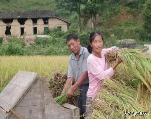 兒媳生了女兒，坐月子時婆婆讓公公來照顧，一個月後婆婆回來傻了