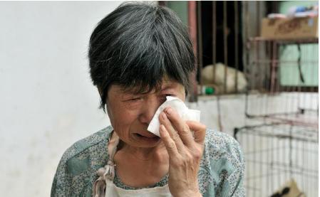婆婆把財產全給我，卻要小姑子養老，我話還沒說完婆婆就痛哭流涕