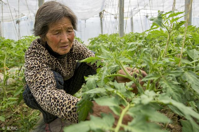 孫子替父養母，多年後老人80大壽，孫子一席話，父親幡然悔悟