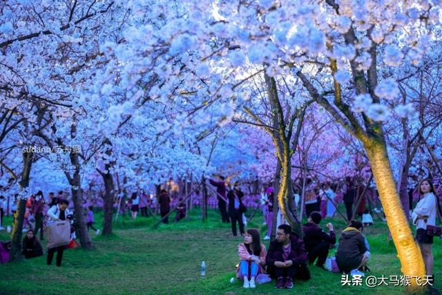 「媽，我老婆要跟我離婚了」「她懷孕了，不會跟你離婚的」