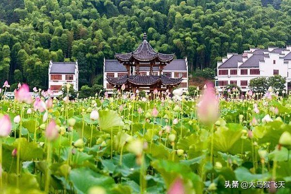 「婆婆，小叔應該去找個工作賺錢了」「不用你費心，我還養得起」