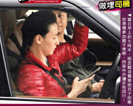 張柏芝兒子越長越像謝霆鋒，野外活動被女同學圍追超受歡迎！