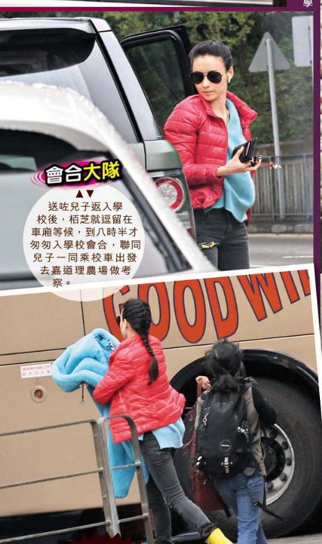 張柏芝兒子越長越像謝霆鋒，野外活動被女同學圍追超受歡迎！