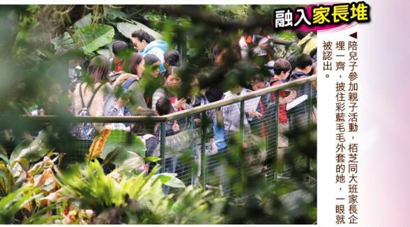 張柏芝兒子越長越像謝霆鋒，野外活動被女同學圍追超受歡迎！