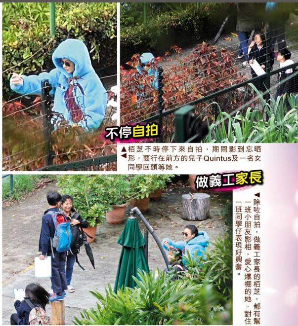 張柏芝兒子越長越像謝霆鋒，野外活動被女同學圍追超受歡迎！