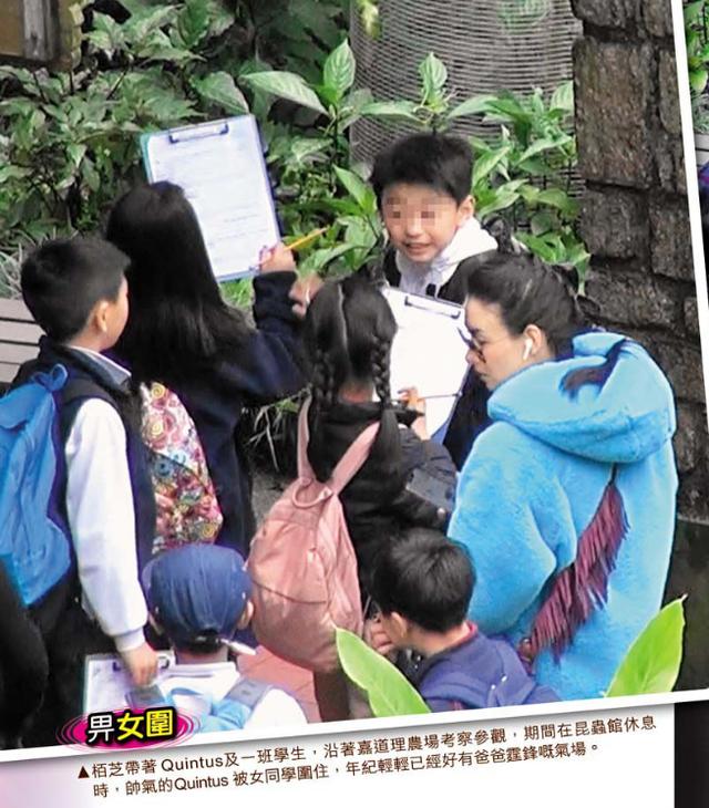 張柏芝兒子越長越像謝霆鋒，野外活動被女同學圍追超受歡迎！