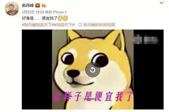 洪欣人財兩空？被李嘉欣罵蠢女人，莫少聰曾發飆拒認兒子姓張！