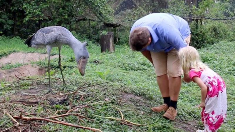 「世界最有禮的鳥」鞠躬必回禮　一開心還會拔下羽毛：給你當見面禮～