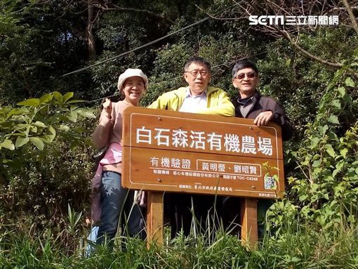 遠眺山林之美 內湖採果秘境大公開！