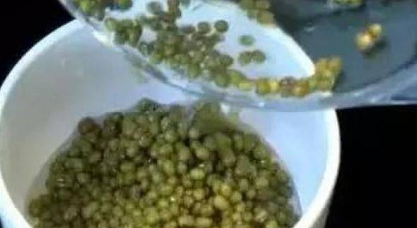 原來「煮綠豆」只要花2分鐘！90％的人都不知道！