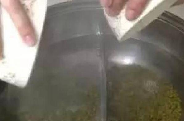 原來「煮綠豆」只要花2分鐘！90％的人都不知道！