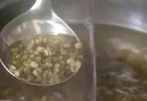 原來「煮綠豆」只要花2分鐘！90％的人都不知道！