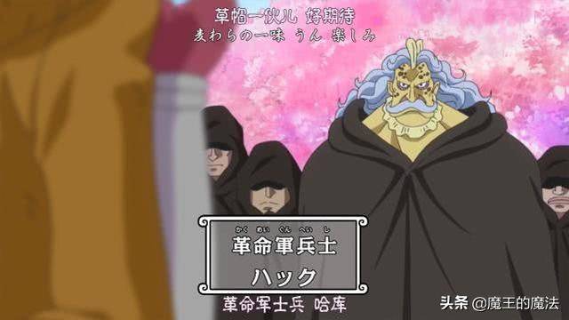 海賊王880集：革命軍座位圖透露巨大信息，神秘空位直指黃猿