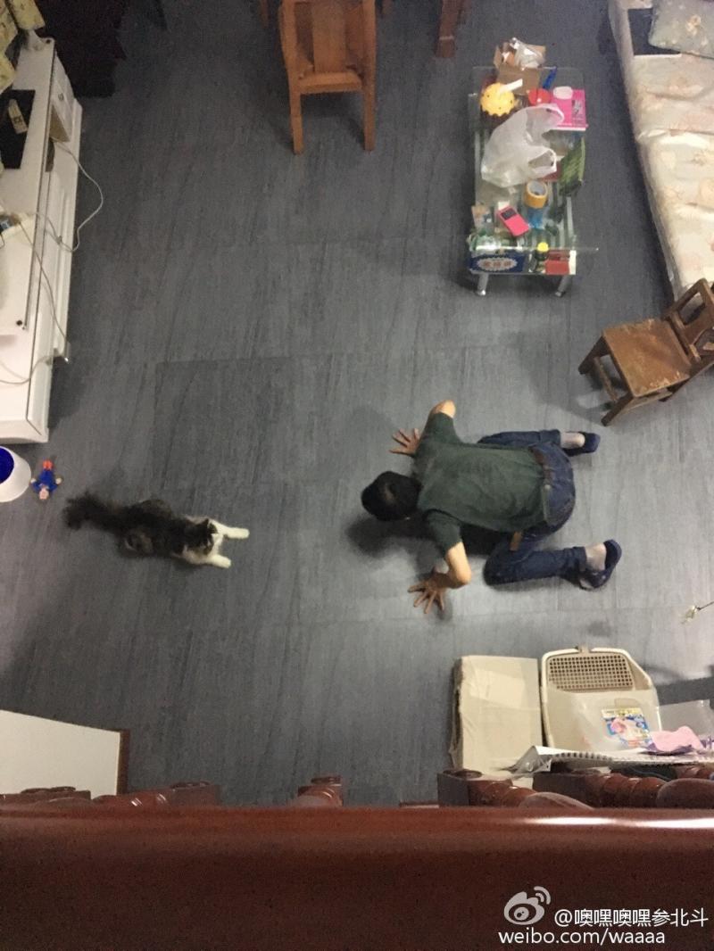 嫌養狗太麻煩的老爸嗆女兒「敢養我就xxx」　2年後抱緊金孫散步：怕牠累