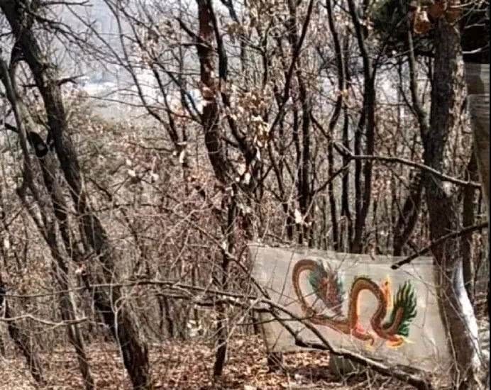 花276元進入「突破想像力的」動物園　眼前的「動物」讓遊客傻眼：沒錢請工讀生？