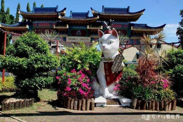 世界上唯一以貓命名的城市，當地還有貓博物館，愛貓深入骨髓