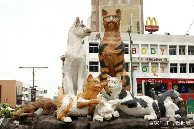世界上唯一以貓命名的城市，當地還有貓博物館，愛貓深入骨髓