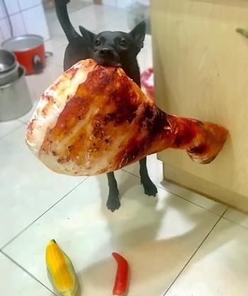 主人忘記喂狗晚飯，狗狗叼超大雞腿玩偶：「主人我要換吃的！」