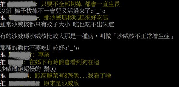 「沙威瑪」傳說再起！巨大肉串削不完　網友揭驚人秘密 