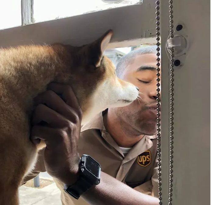 每天能擼不同的狗狗？這個快遞小哥究竟有什麼神仙操作！_工作