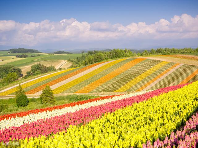 去北海道，帶著浪漫情懷去體驗每一場旅行吧