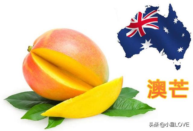地球上最貴的4種貴族水果，一顆就能買棟房，見都沒見過