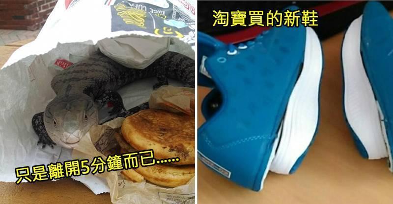 「這世界就是不想讓你好過」的25個驚喜時刻~~~~