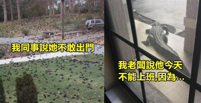 「史上最扯最無奈的21個請假原因！」~~~~