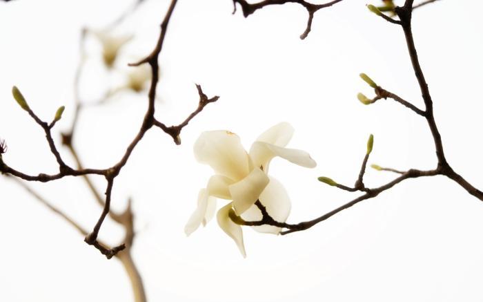 4月下旬好運逆襲，5大生肖財上正軌，金銀滿地，富貴圓滿有餘錢！